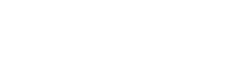 1XBET